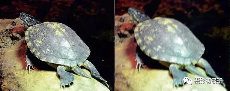 新手怎么了解锐克,初学者锐化技巧