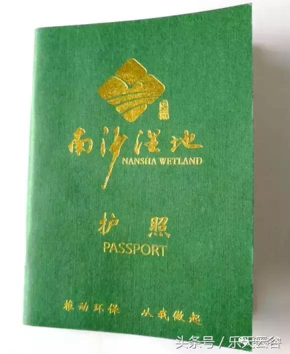 元旦南沙去哪里玩,南沙黄山鲁森林公园游玩攻略