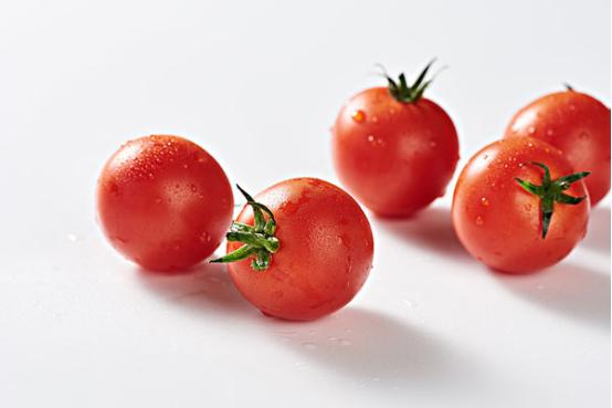 2018年标志大全,2018年的标志