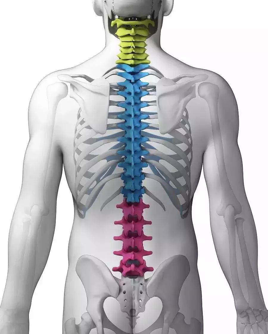 经常脖子痛颈椎痛四肢酸痛,经常脖子很痛转动受限