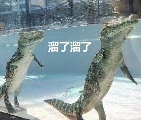 神灯神灯！我要买世界上最贵的口红，是什么牌子？