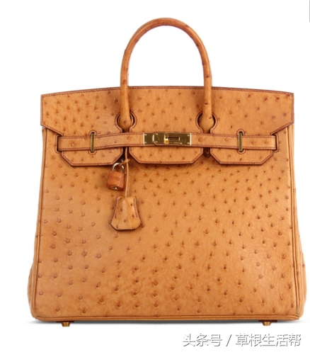 养殖“大笨鸟”，敲开致富门，80后回老家创业成为新一代农场主