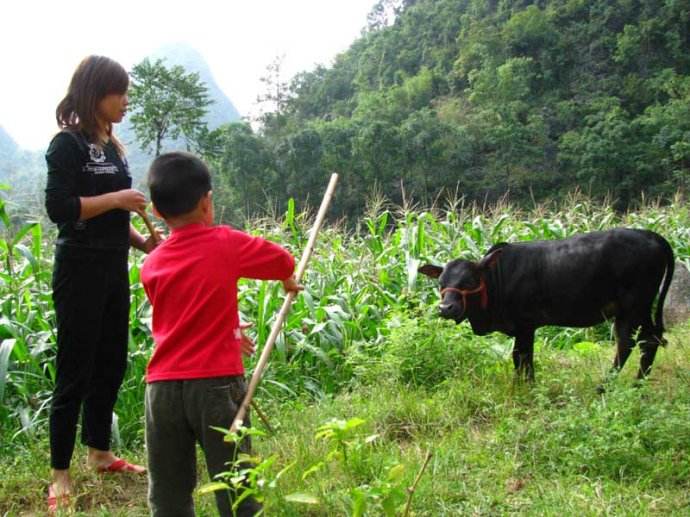 牛踩了我一脚——让我受益终身