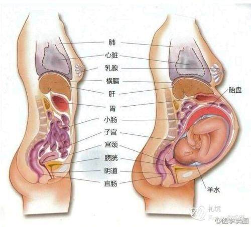 怀孕后不舒服感觉自己病了,孕期肚子不舒服需要马上看医生吗