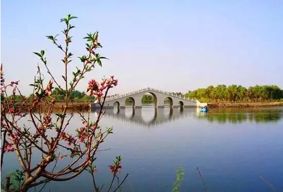 和田玉里哪个地方的玉最好,和田哪个地方的玉最好