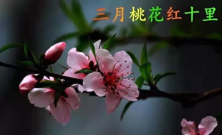 2021绝版绝美挂历,2018精美挂历有吗