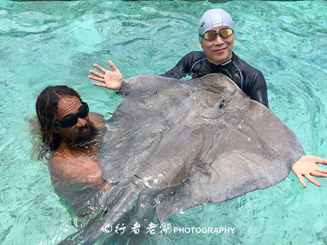 旅行日志天之涯海之角,旅行日志每日感受