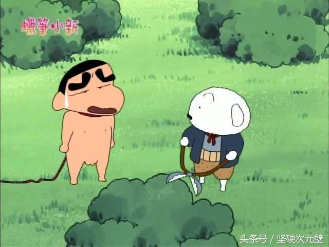 最受欢迎的动漫可爱宠物神奇宝贝,可爱动画皮卡丘