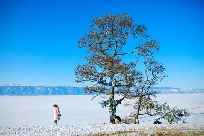 我的2017全文,国家35个主要城市名单