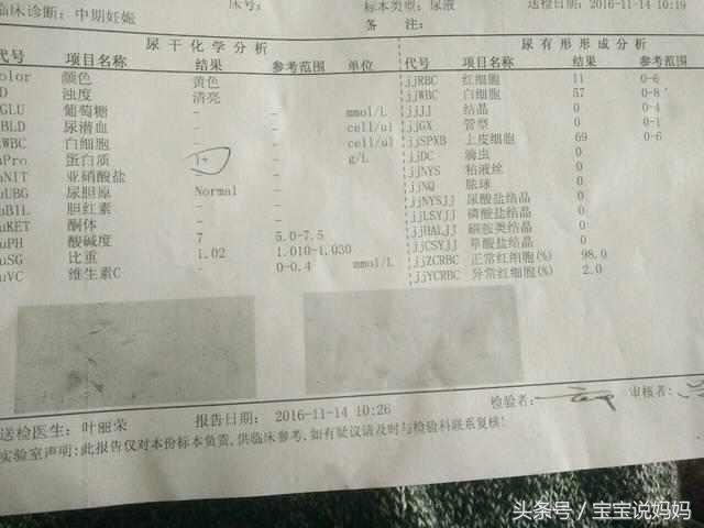 孕妇尿液蛋白质10.3,孕妇尿检蛋白质高是什么原因