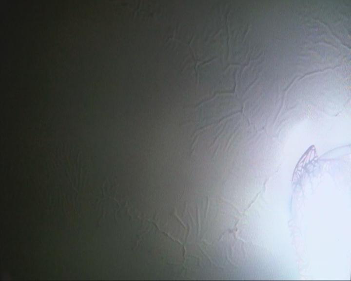 物业未关阀门怎么处理投诉,物业没有及时关阀门