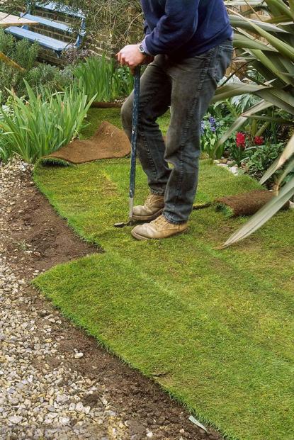 自己在家如何种草坪,自己动手铺草坪效果