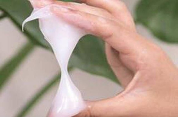 壁纸胶和基膜,壁纸胶糯米胶