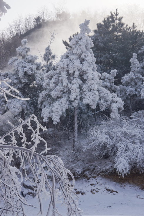 中原区有雪吗,中原雪乡在哪里