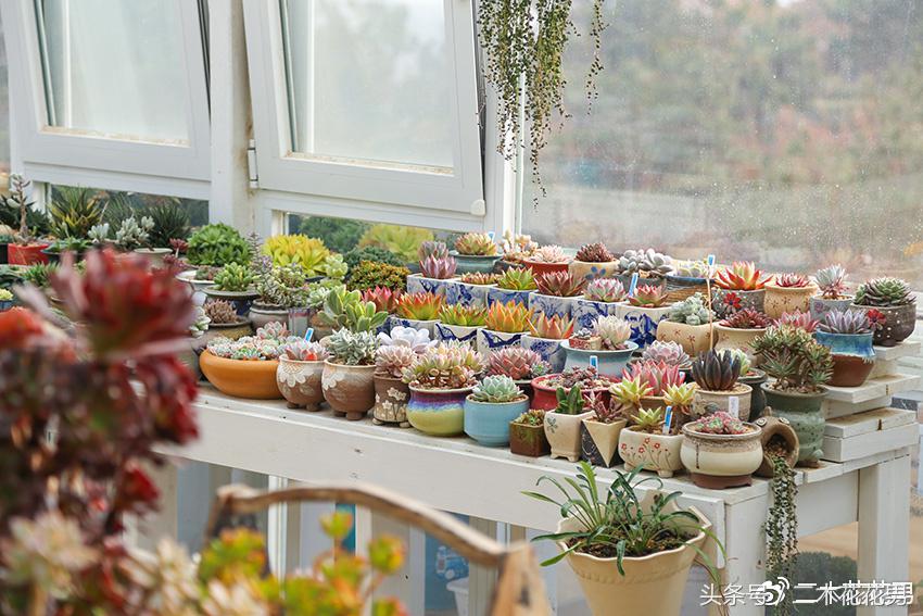 阳光房建设,怎样建造阳光房