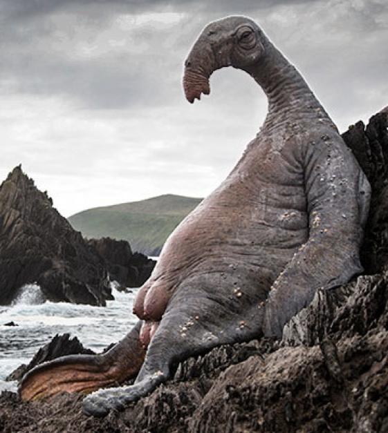 星球大战电影哪几部值得看,看星球大战预告片反应