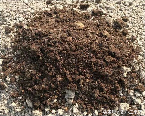 采果后使用什么肥,果园施有机肥正确方法