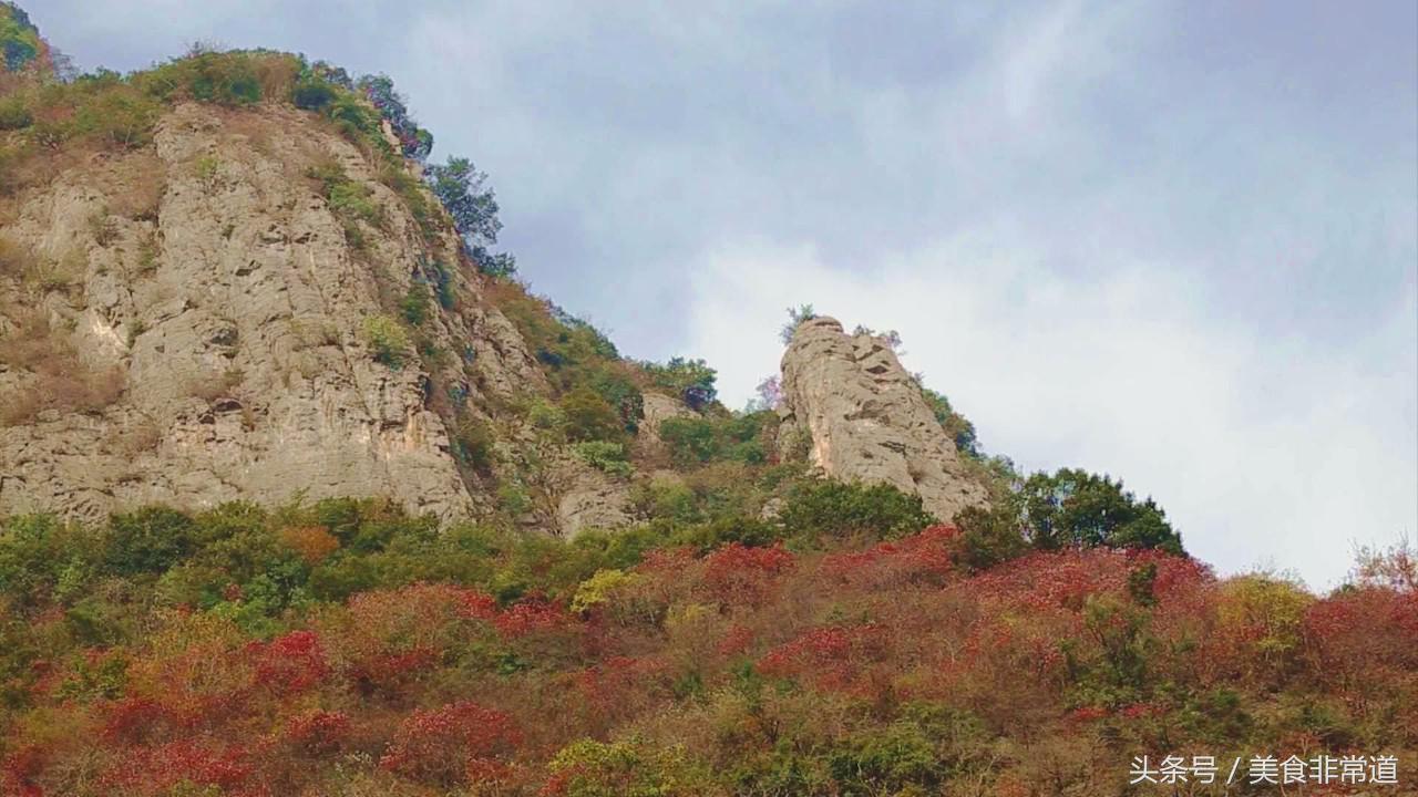 正宗的巫山烤鱼在哪,巫山县正宗烤鱼