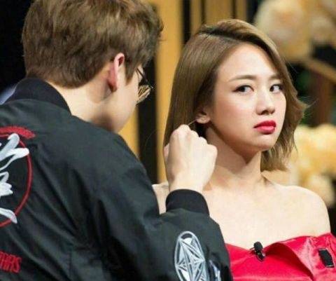 白敬亭现状怎么样,白敬亭的单身原因