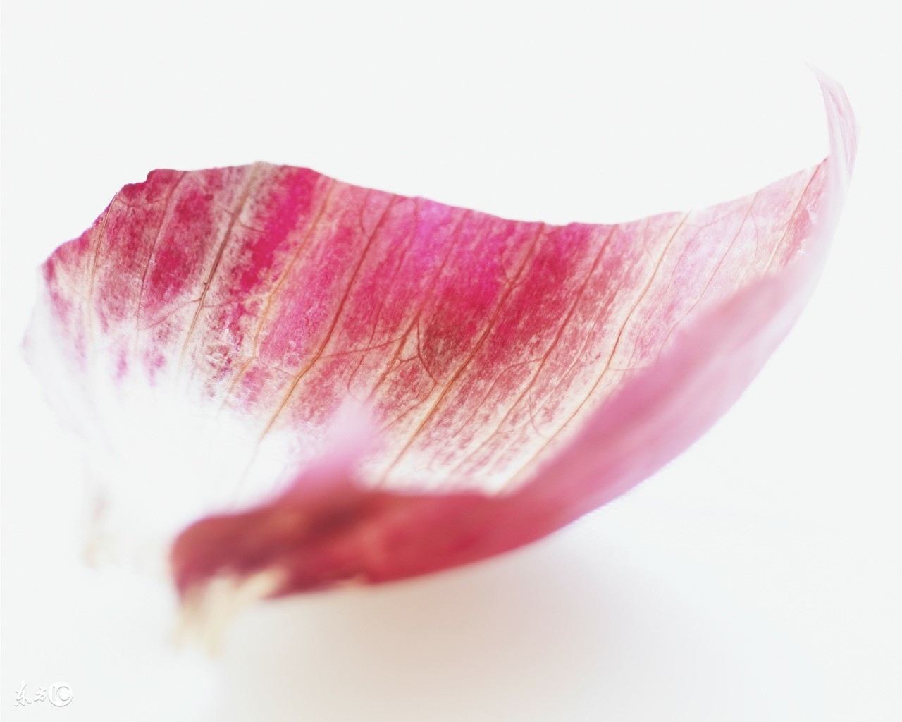 谋皮中篇故事完整版,谋皮高清完整版电影在线观看