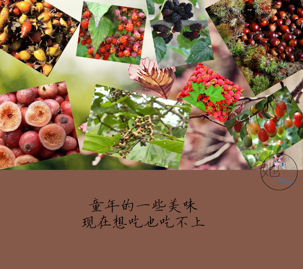 致8090的童年回忆,致我们逝去的童年和青春80后