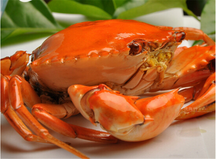 螃蟹怎么保存隔两天吃,螃蟹怎么保存放冰箱