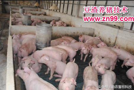 豆渣一吨多少钱,豆渣发酵后多少钱一吨