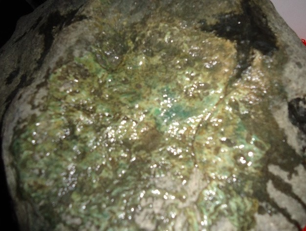 收破烂小伙得一千万,收破烂小伙买石头