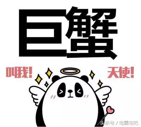 12星座2019年能脱单的星座,划重点12星座鲜为人知的一面