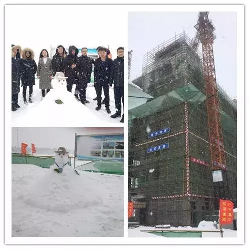 雪中美景雪景,雪中银装素裹美如画