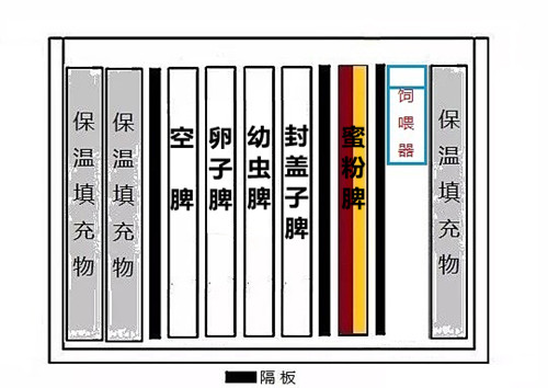 蜜蜂春繁分箱最简单方法,蜜蜂单脾春繁简易方法