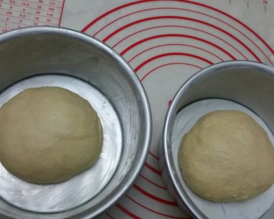 奶酪包,奶酪包与猫