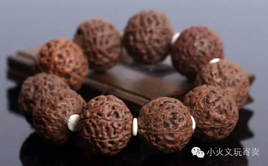 金刚与落地红,落地红对比金刚菩提