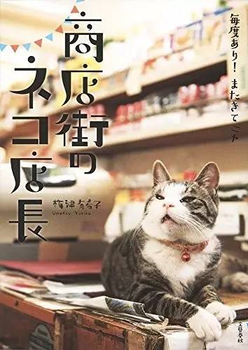 日本人有多恨猫（Excuseme？）
