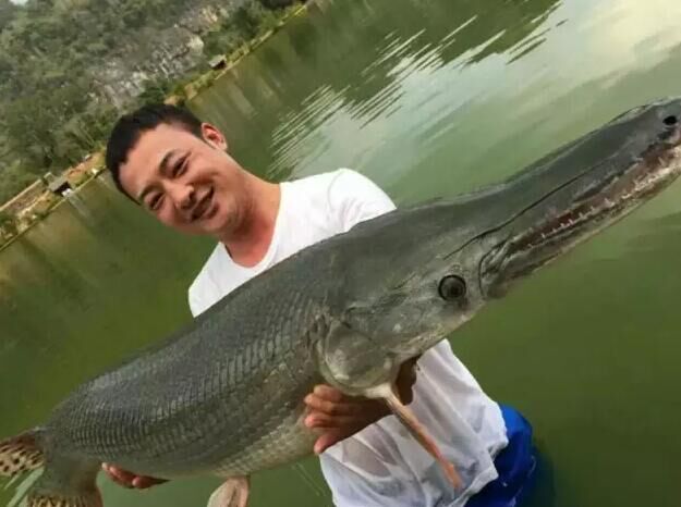 钓鱼探钓达人,钓鱼达人视频海钓