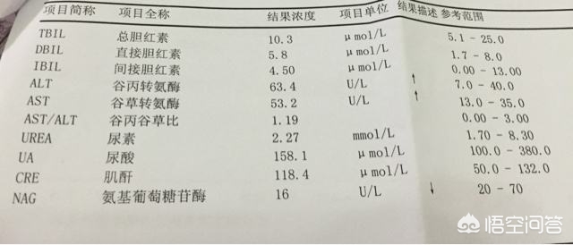 干扰素转氨酶升高,一过性转氨酶升高