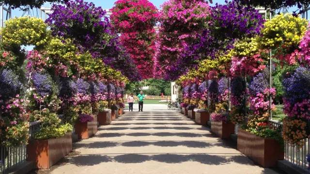 上海2020年学生放假通知,再上六天班就要集体放假