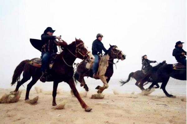 沈阳草原骑马去哪个地方好,离沈阳最近的草原骑马自驾游