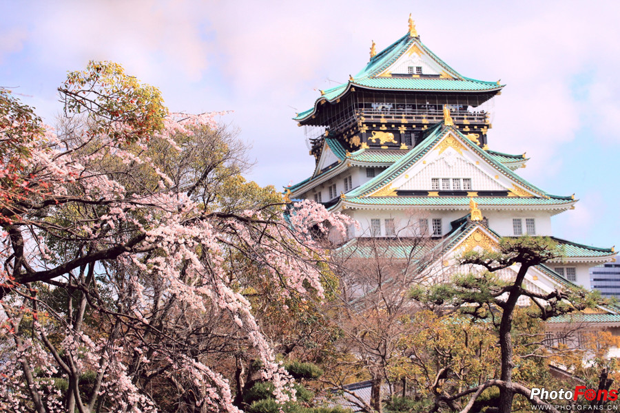 春之物语完整视频,《春之物语》