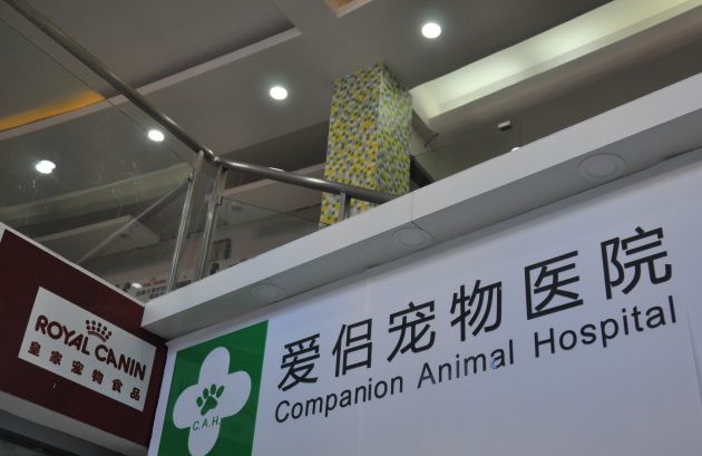 妙手仁心救我狗命锦旗,妙手仁心宠物医院