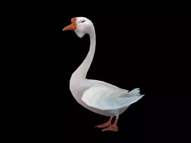 「本地」林甸农民杀鹅取出一个“宝贝”,网称“宝贝”在上海拍出870万天价