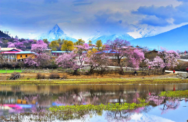 2018上半年，据说会玩的人都在合适的时间去这些美腻的地方了！