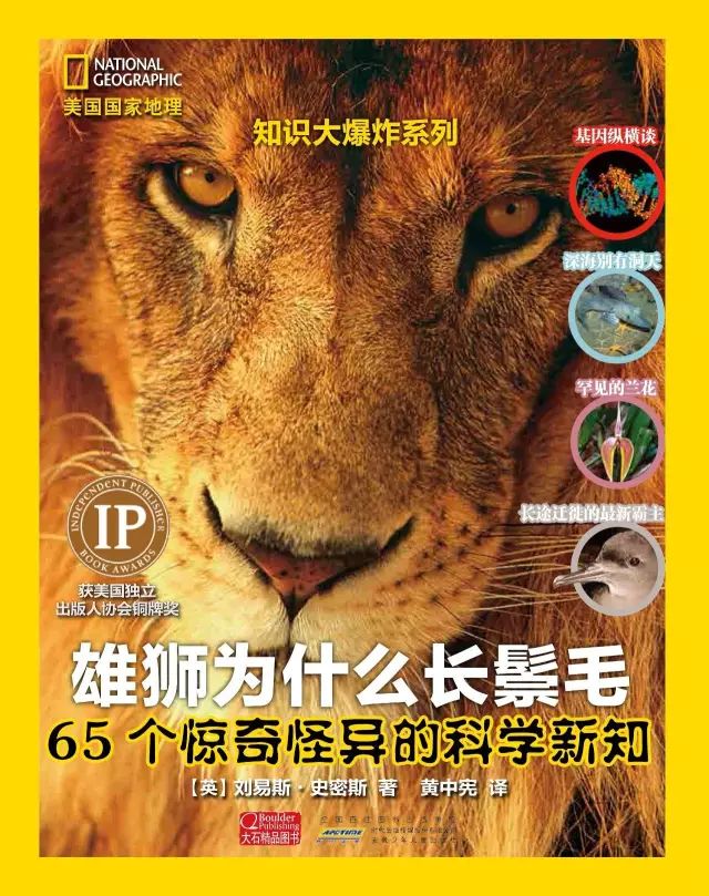 海底恶霸一流的伪装技能