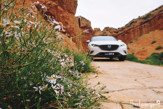 带着小三去旅行,带着小四去旅游