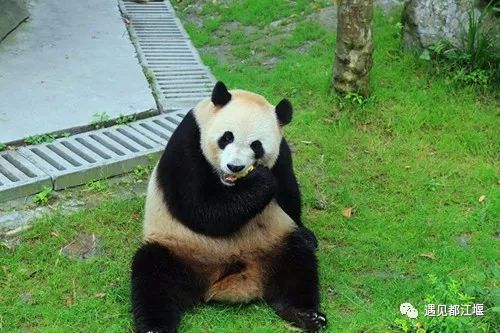 送福利元旦活动来一波,元旦送福利来啦