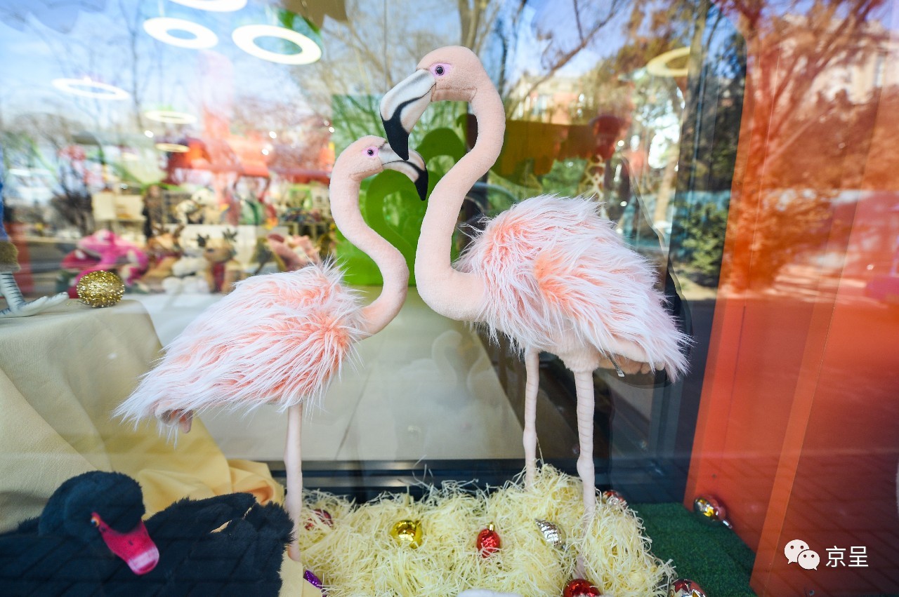 鹈鹕树懒食蚁兽？北京这家非主流玩偶店教你认认新萌物
