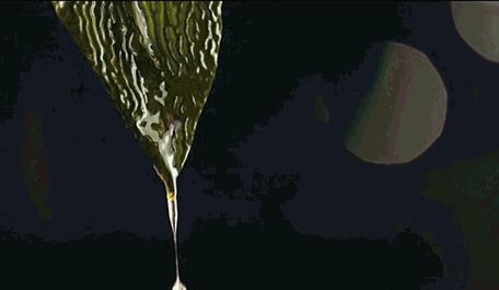 弘叔种草+福利｜发愁节日送什么？照这个单子买不会错之Top10