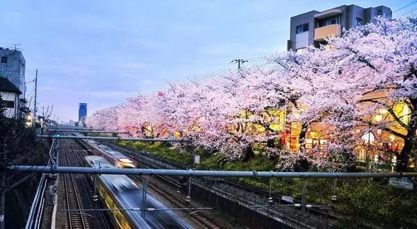 恋与制作人想和你在一起,恋与制作人在你身边值不值