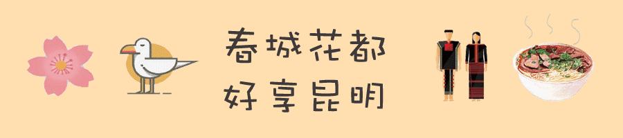 春城秀红嘴鸥图片,春城冬日美景