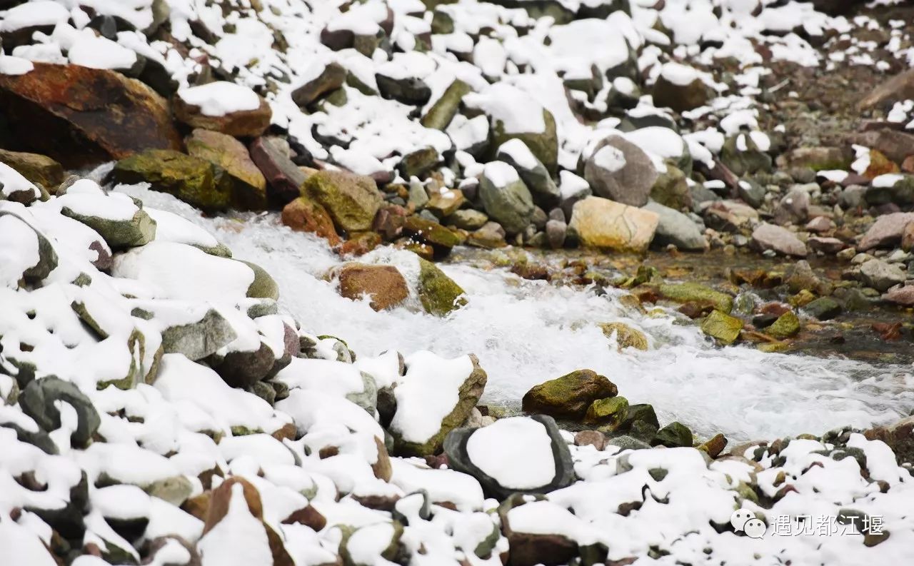 南方也有雪景,南方也有冰雪世界